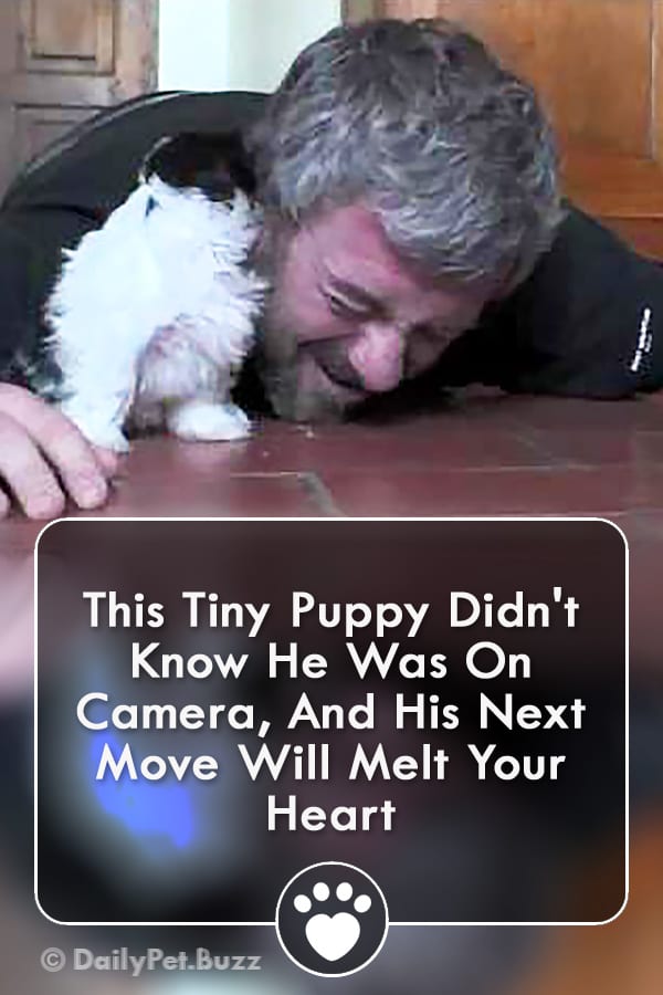 This Tiny Puppy Didn\'t Know He Was On Camera, And His Next Move Will Melt Your Heart