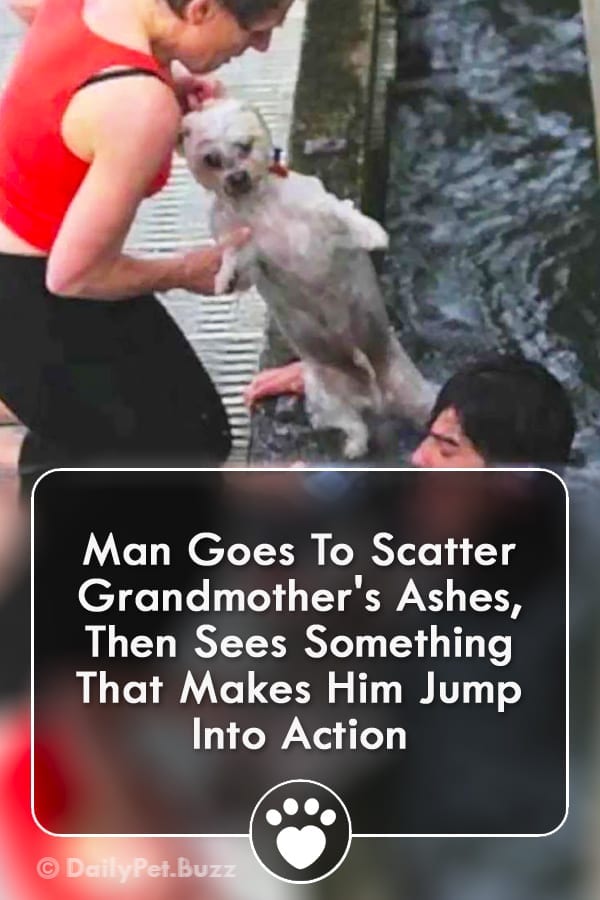 Man Goes To Scatter Grandmother\'s Ashes, Then Sees Something That Makes Him Jump Into Action