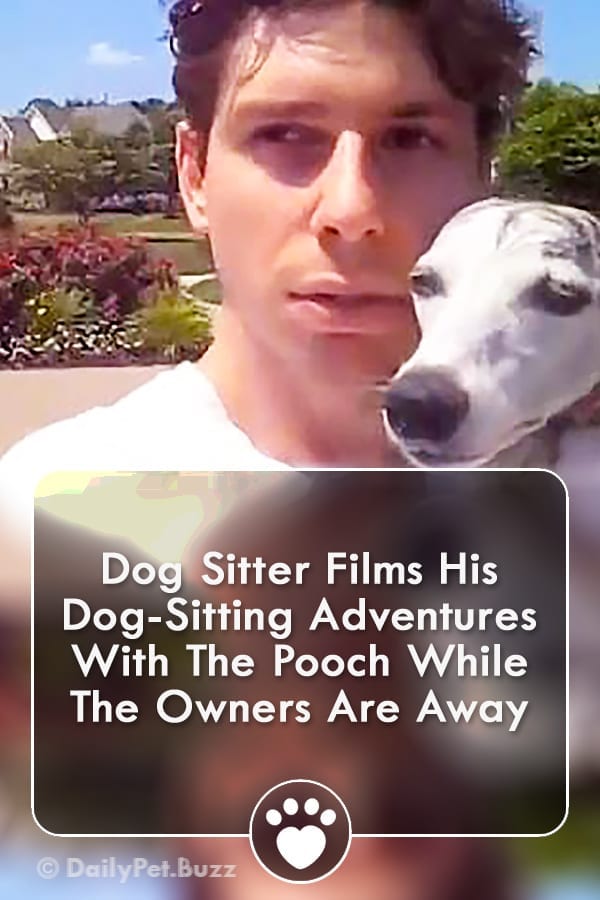 Dog Sitter Films His Dog-Sitting Adventures With The Pooch While The Owners Are Away