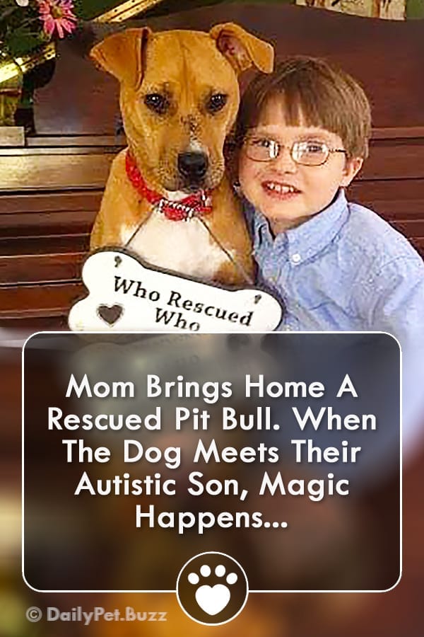 Mom Brings Home A Rescued Pit Bull. When The Dog Meets Their Autistic Son, Magic Happens...