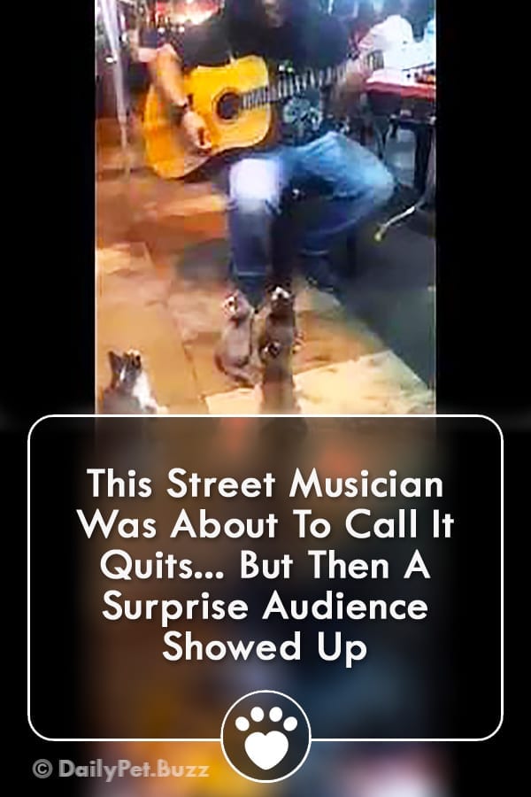 This Street Musician Was About To Call It Quits... But Then A Surprise Audience Showed Up
