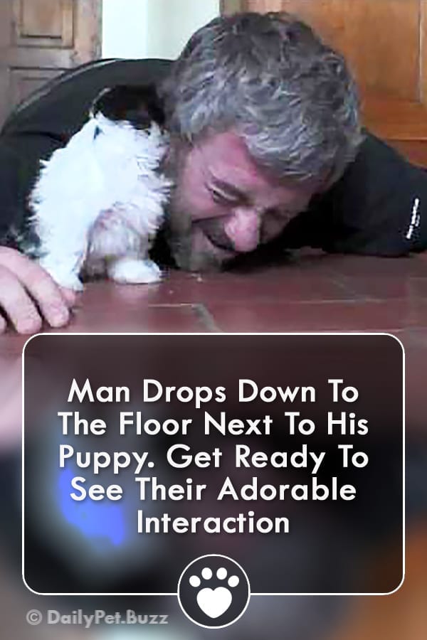 Man Drops Down To The Floor Next To His Puppy. Get Ready To See Their Adorable Interaction