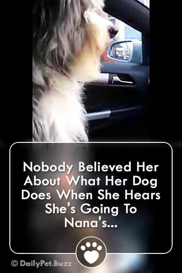 Nobody Believed Her About What Her Dog Does When She Hears She\'s Going To Nana\'s...