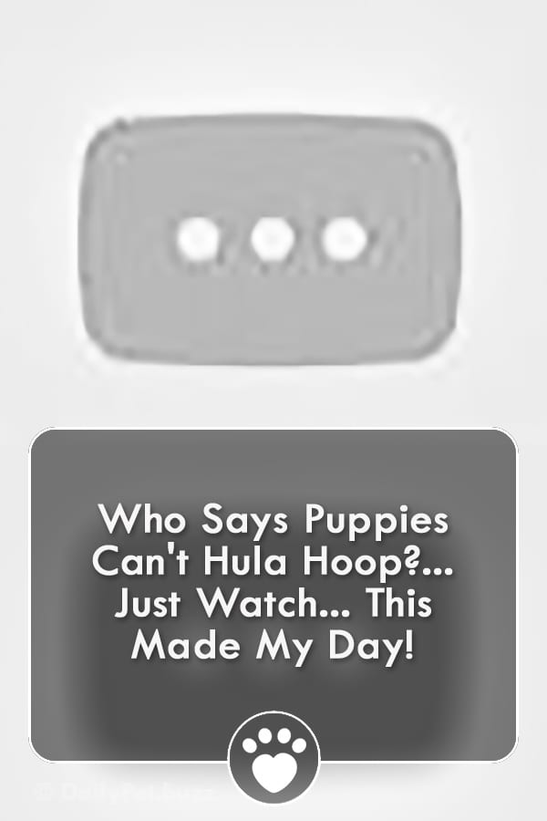 Who Says Puppies Can\'t Hula Hoop?... Just Watch... This Made My Day!