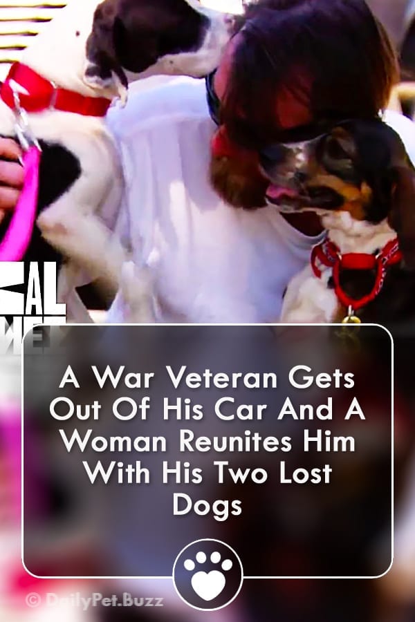 A War Veteran Gets Out Of His Car And A Woman Reunites Him With His Two Lost Dogs