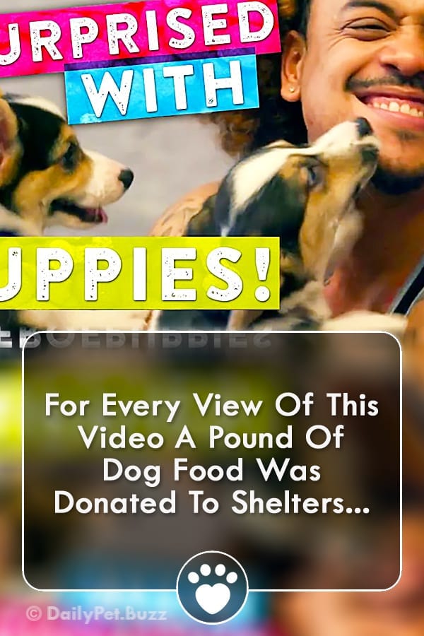For Every View Of This Video A Pound Of Dog Food Was Donated To Shelters...