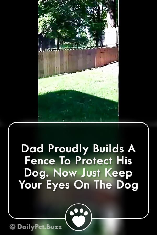 Dad Proudly Builds A Fence To Protect His Dog. Now Just Keep Your Eyes On The Dog