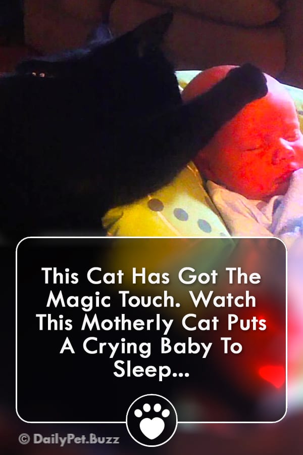 This Cat Has Got The Magic Touch. Watch This Motherly Cat Puts A Crying Baby To Sleep...