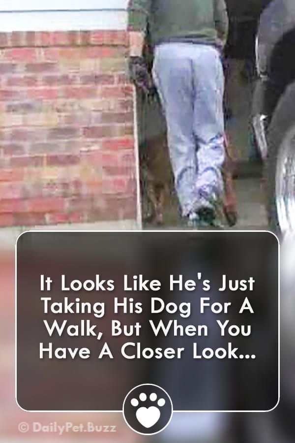 It Looks Like He\'s Just Taking His Dog For A Walk, But When You Have A Closer Look...