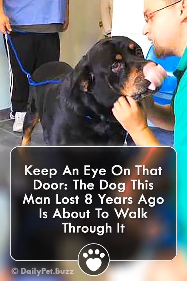Keep An Eye On That Door: The Dog This Man Lost 8 Years Ago Is About To Walk Through It