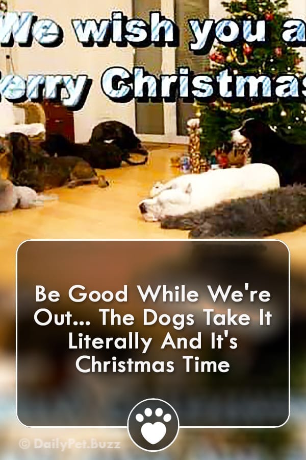 Be Good While We\'re Out... The Dogs Take It Literally And It\'s Christmas Time