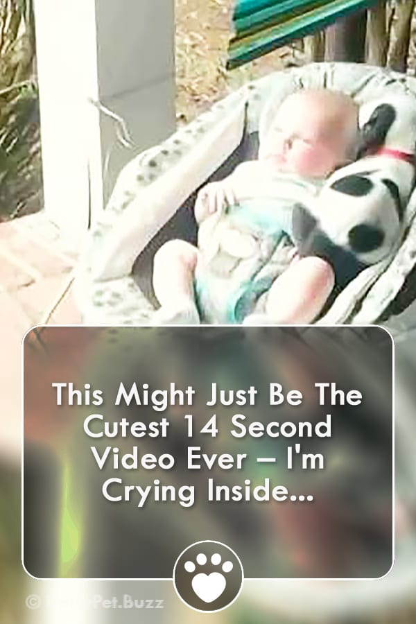 This Might Just Be The Cutest 14 Second Video Ever – I\'m Crying Inside...