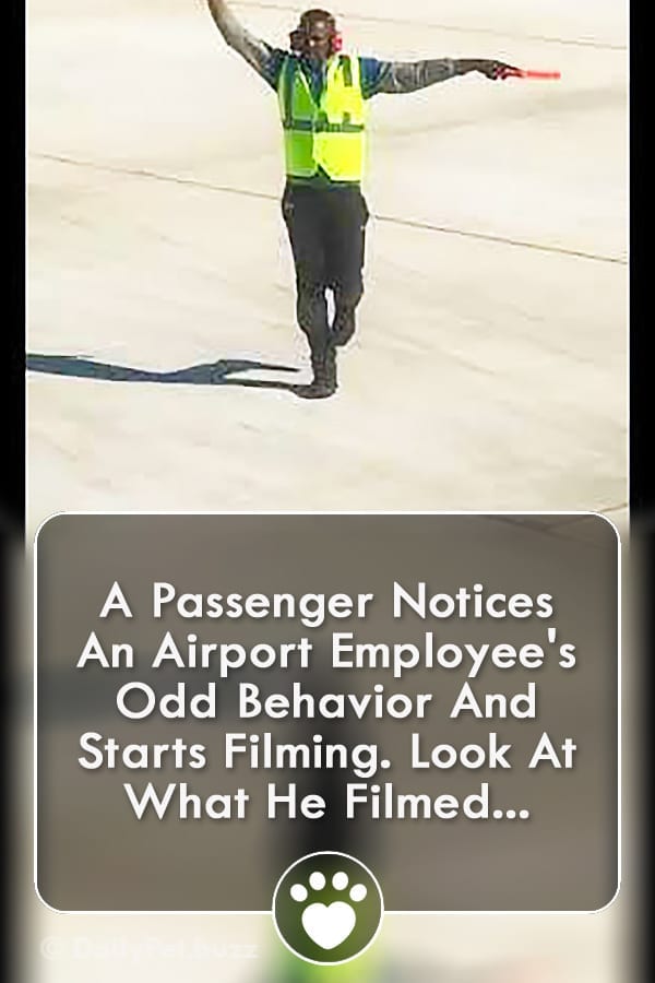 A Passenger Notices An Airport Employee\'s Odd Behavior And Starts Filming. Look At What He Filmed...
