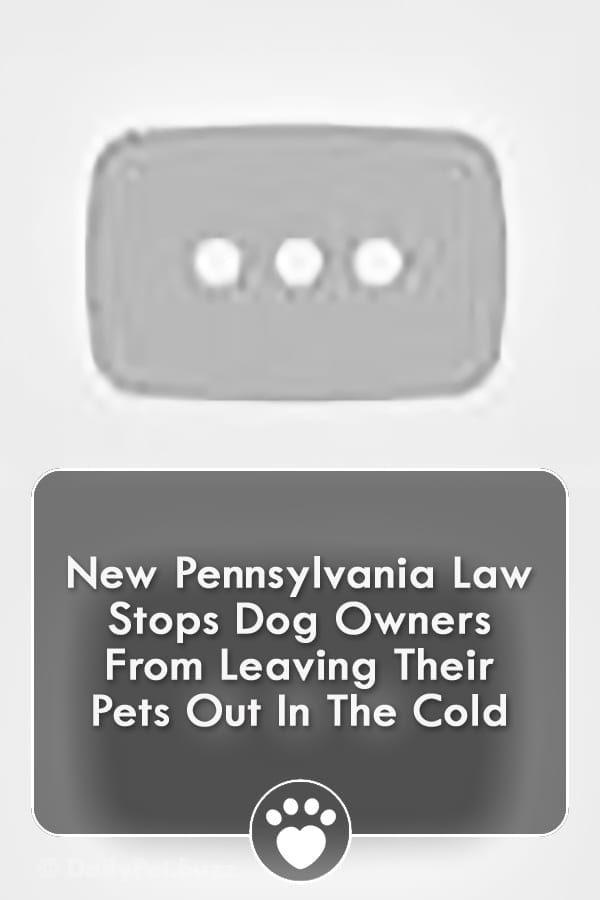New Pennsylvania Law Stops Dog Owners From Leaving Their Pets Out In The Cold