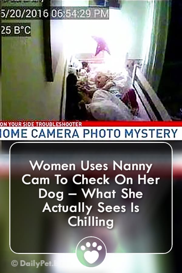 Women Uses Nanny Cam To Check On Her Dog – What She Actually Sees Is Chilling