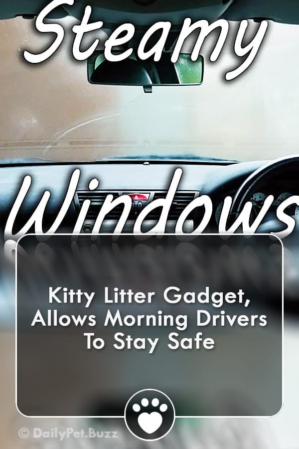 Kitty Litter Gadget, Allows Morning Drivers To Stay Safe