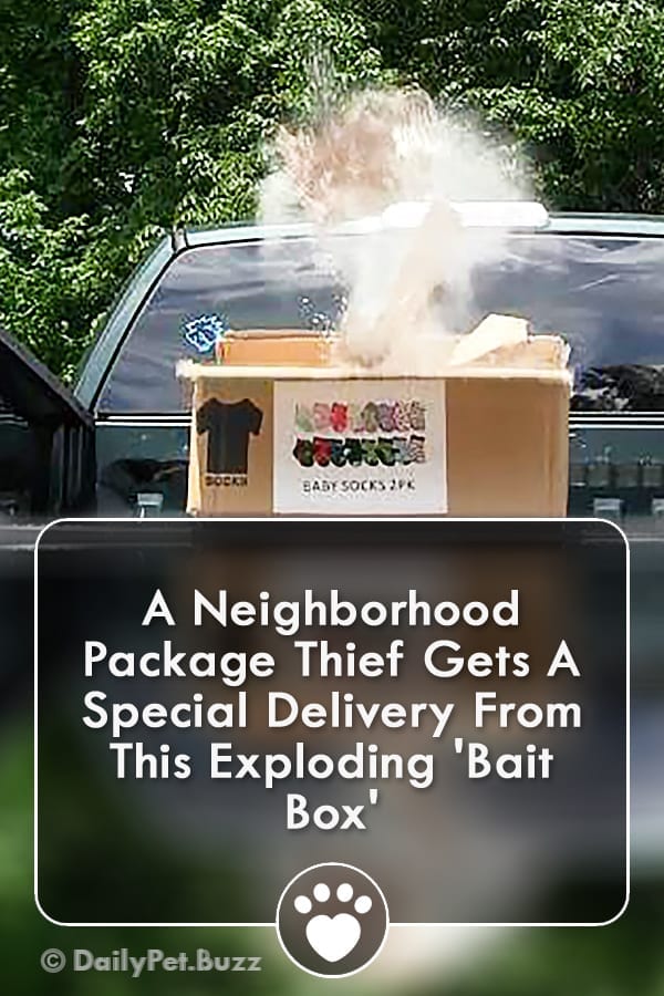 A Neighborhood Package Thief Gets A Special Delivery From This Exploding \'Bait Box\'