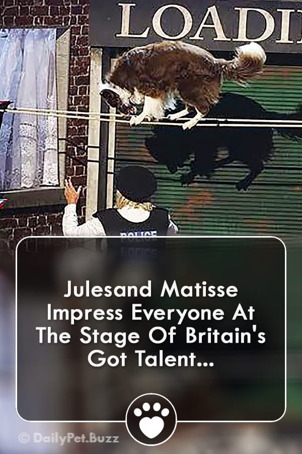 Julesand Matisse Impress Everyone At The Stage Of Britain\'s Got Talent...