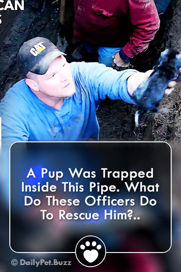 A Pup Was Trapped Inside This Pipe. What Do These Officers Do To Rescue Him?..