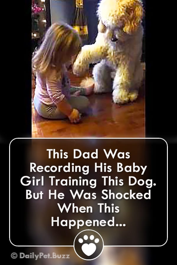 This Dad Was Recording His Baby Girl Training This Dog. But He Was Shocked When This Happened...
