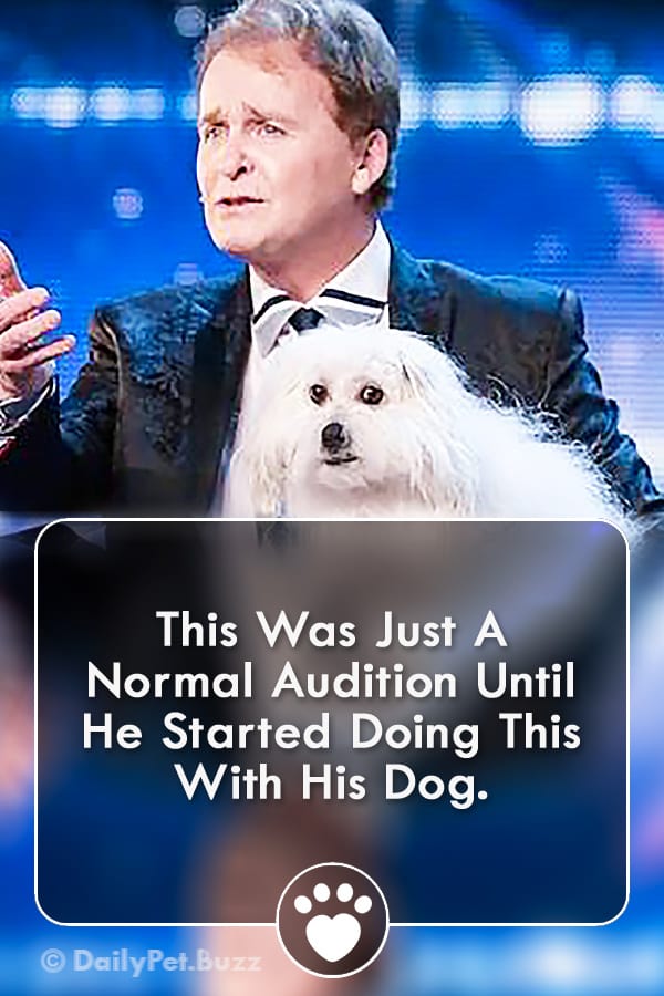 This Was Just A Normal Audition Until He Started Doing This With His Dog.
