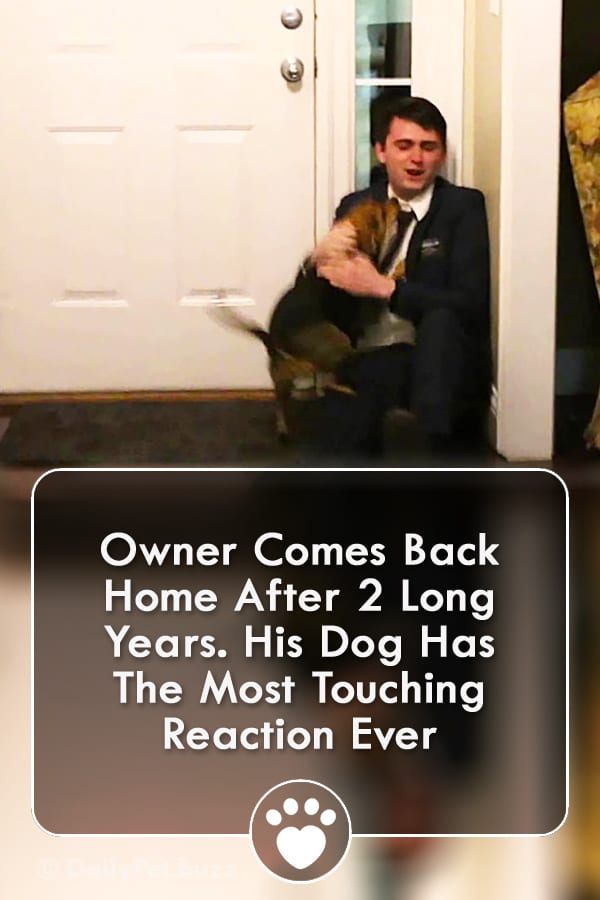 Owner Comes Back Home After 2 Long Years. His Dog Has The Most Touching Reaction Ever