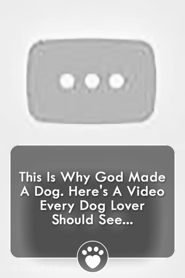This Is Why God Made A Dog. Here\'s A Video Every Dog Lover Should See...