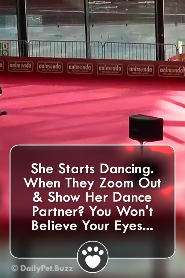 She Starts Dancing. When They Zoom Out & Show Her Dance Partner? You Won\'t Believe Your Eyes...
