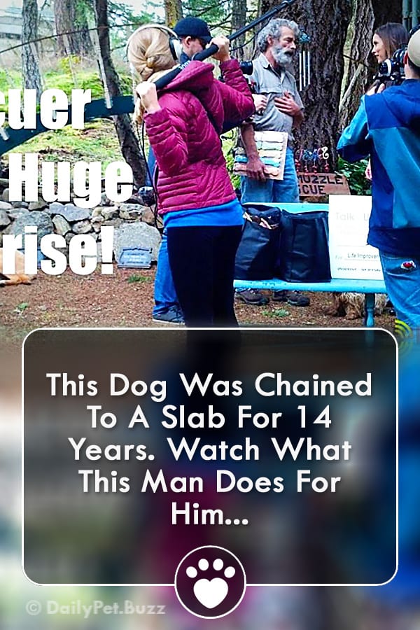 This Dog Was Chained To A Slab For 14 Years. Watch What This Man Does For Him...