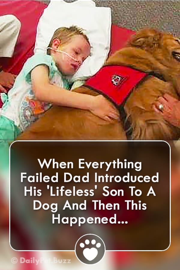 When Everything Failed Dad Introduced His \'Lifeless\' Son To A Dog And Then This Happened...