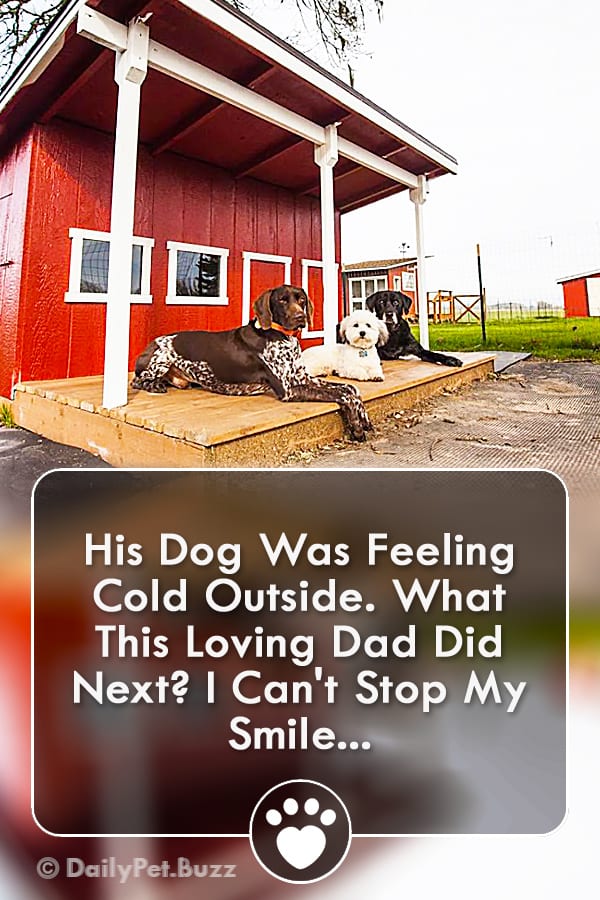 His Dog Was Feeling Cold Outside. What This Loving Dad Did Next? I Can\'t Stop My Smile!