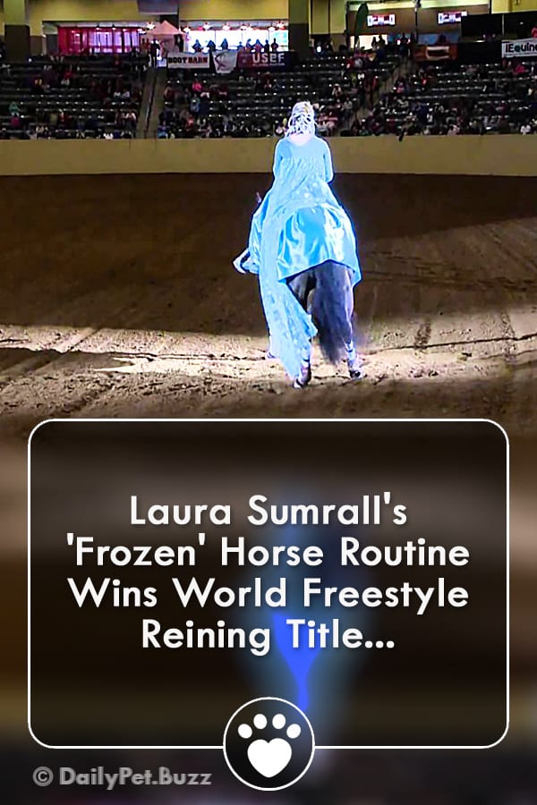 Laura Sumrall\'s \'Frozen\' Horse Routine Wins World Freestyle Reining Title...
