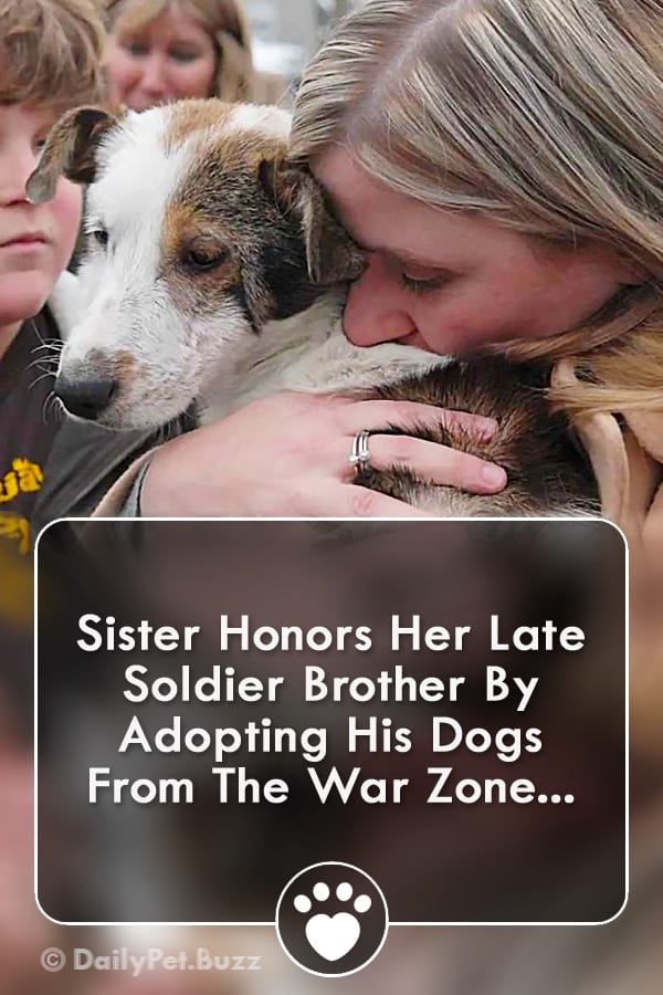 Sister Honors Her Late Soldier Brother By Adopting His Dogs From The War Zone...