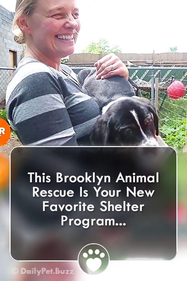 This Brooklyn Animal Rescue Is Your New Favorite Shelter Program...