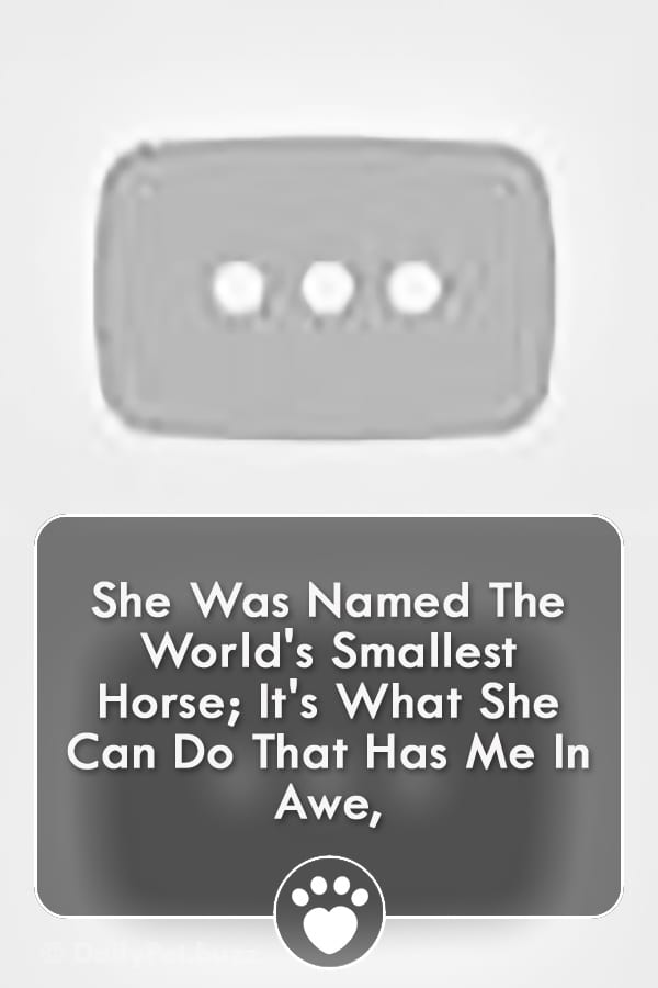She Was Named The World\'s Smallest Horse; It\'s What She Can Do That Has Me In Awe,