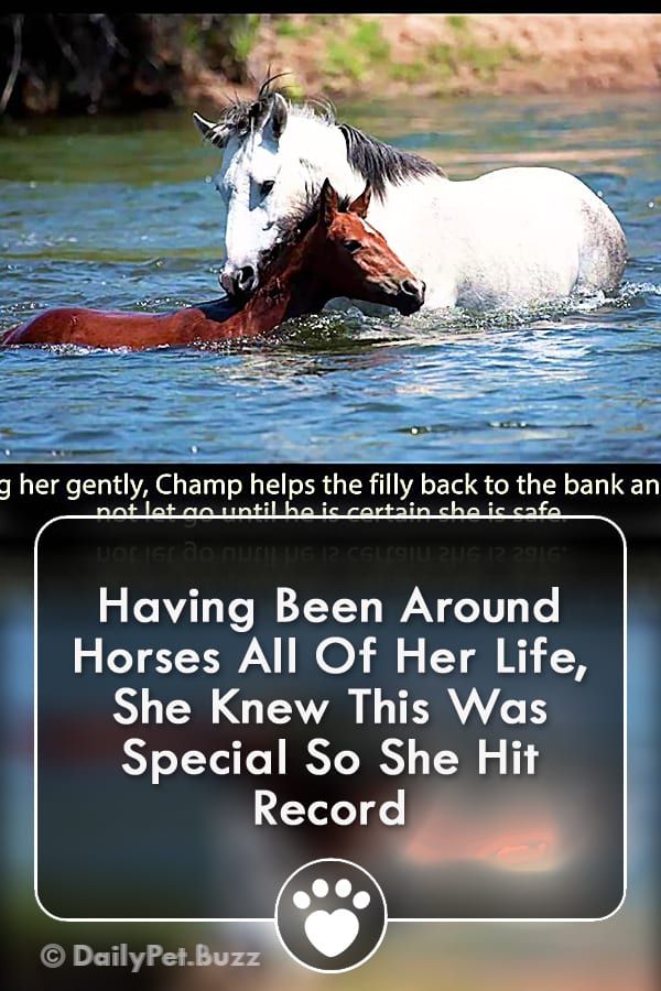 Having Been Around Horses All Of Her Life, She Knew This Was Special So She Hit Record