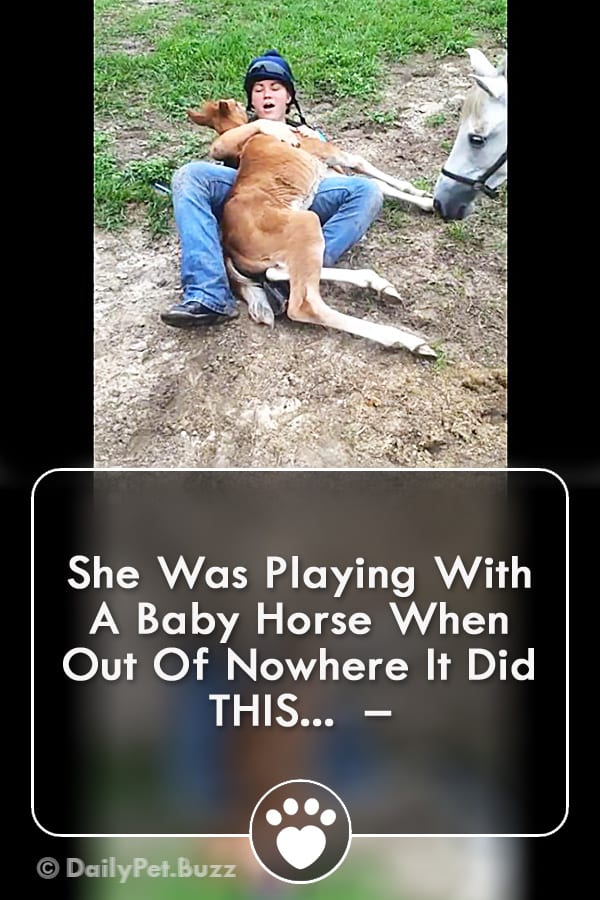 She Was Playing With A Baby Horse When Out Of Nowhere It Did THIS...  –