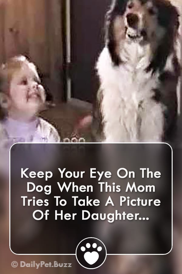 Keep Your Eye On The Dog When This Mom Tries To Take A Picture Of Her Daughter...