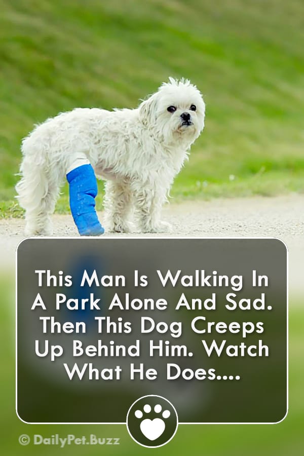 This Man Is Walking In A Park Alone And Sad. Then This Dog Creeps Up Behind Him. Watch What He Does....